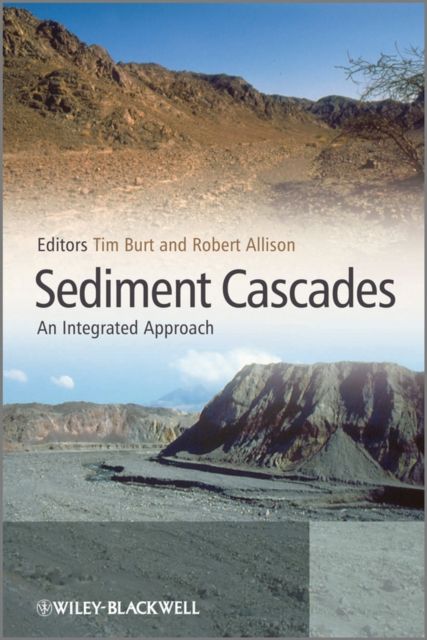 Sediment Cascades : An Integrated Approach