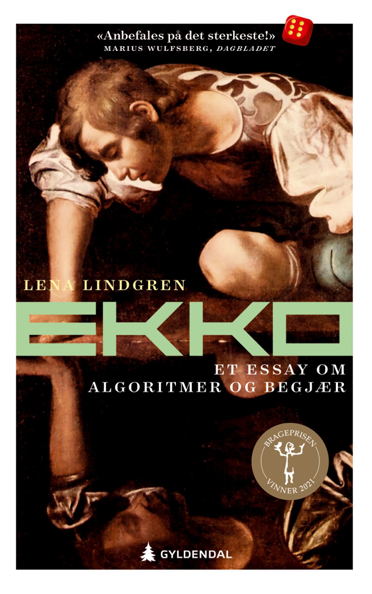 Forsidebilde av Ekko : et essay om algoritmer og begjær