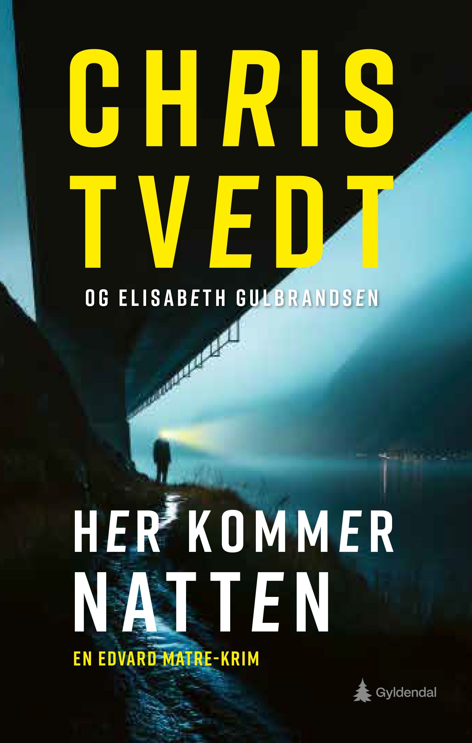Her kommer natten : en Edvard Matre-krim
