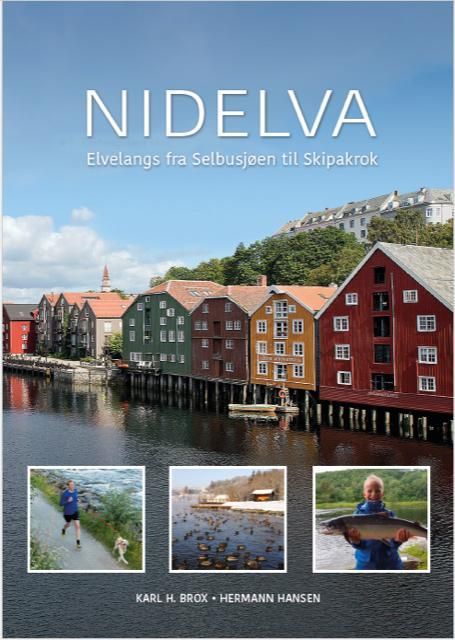 Nidelva : elvelangs fra Selbusjøen til Skipakrok