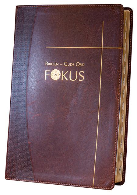 Bibelen - Guds ord fokus : studiebibel