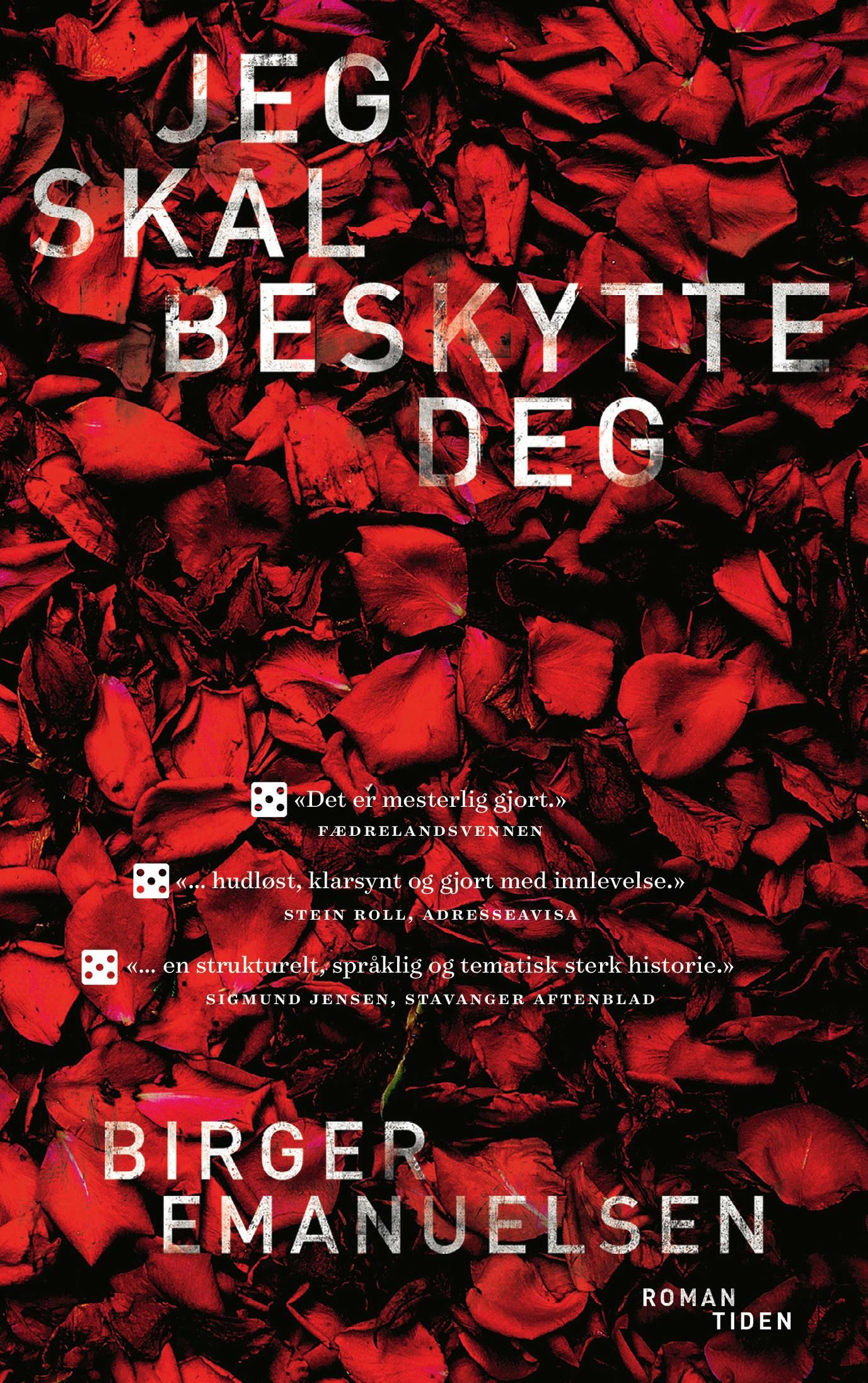 Jeg skal beskytte deg : roman