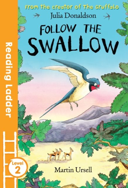 Follow the swallow
