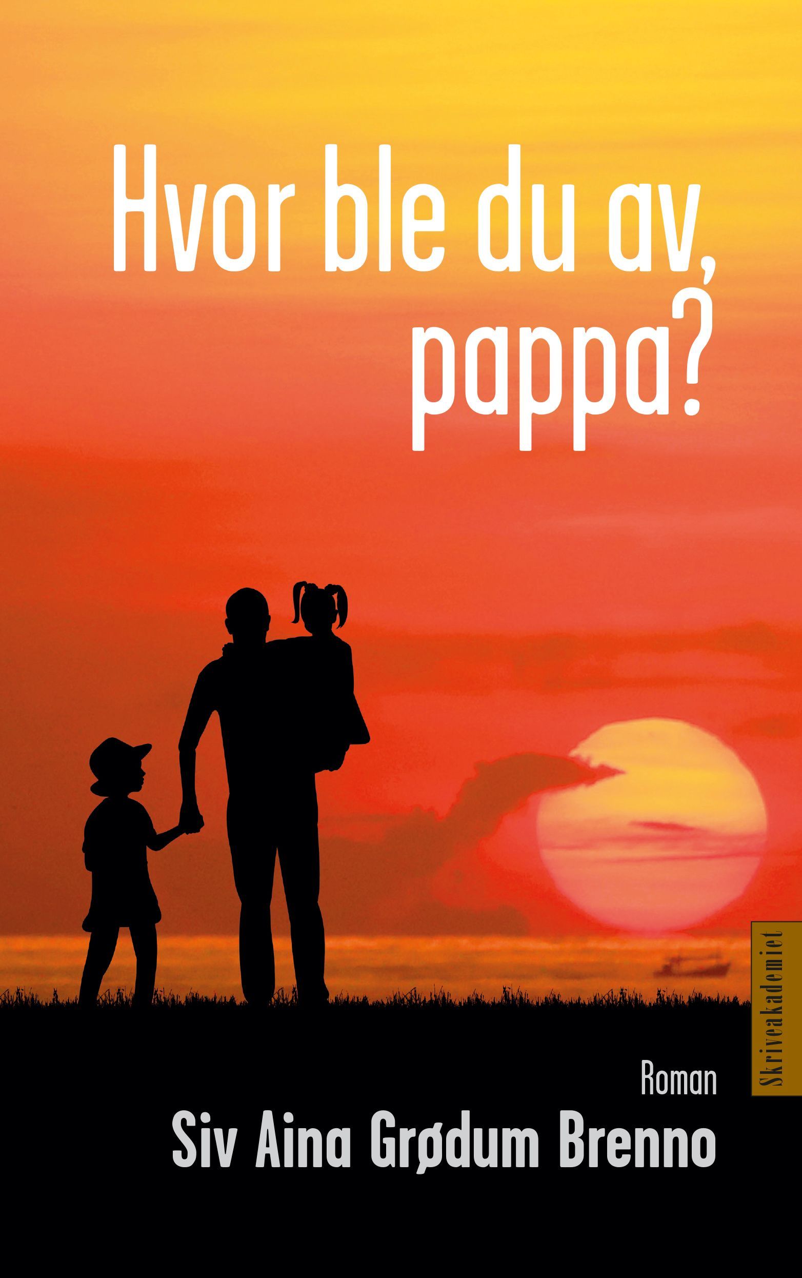 Hvor ble du av, pappa? : roman