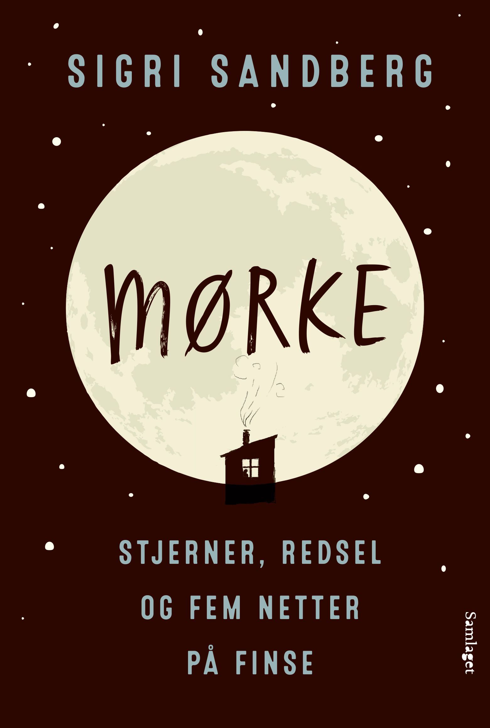 Mørke : stjerner, redsel og fem netter på Finse