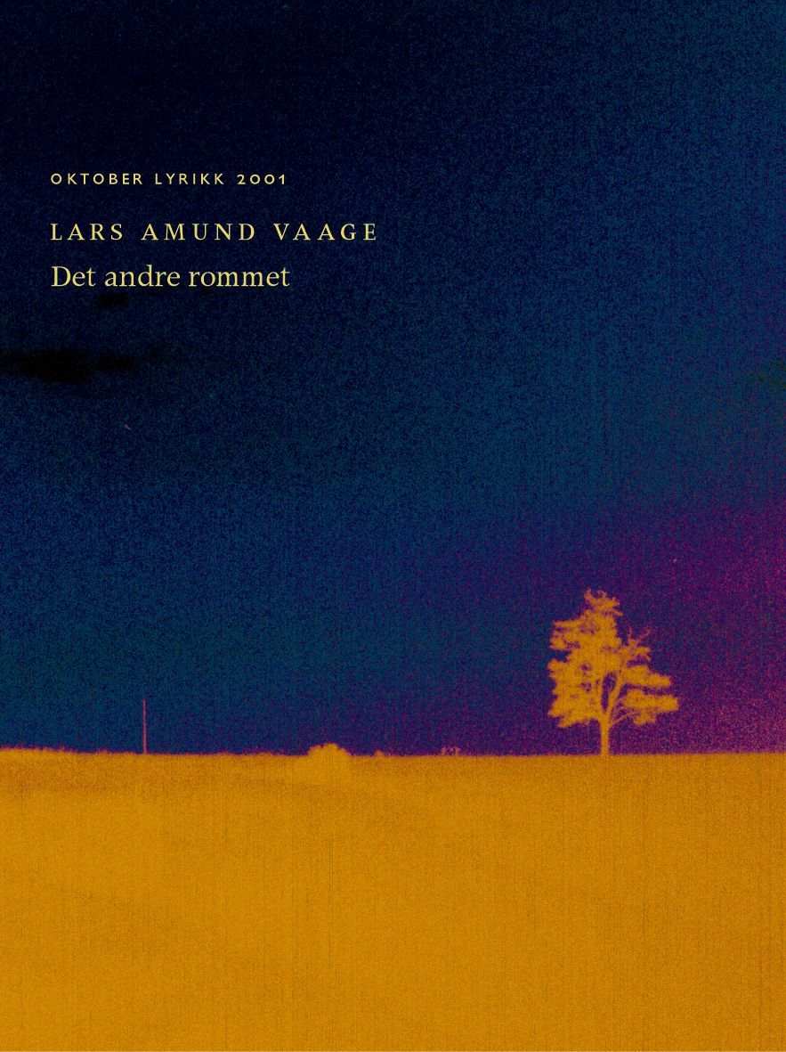 Det andre rommet