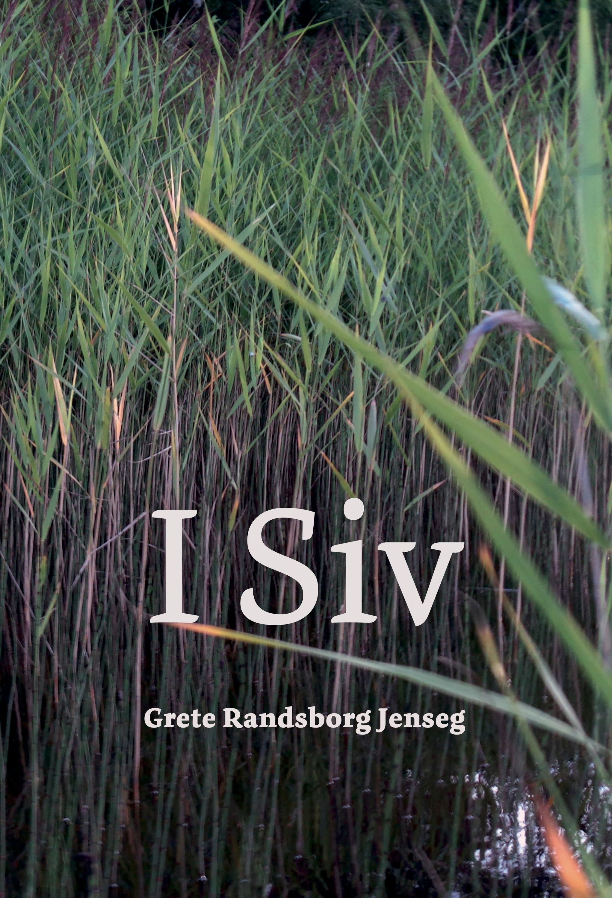 I siv : novellesamling