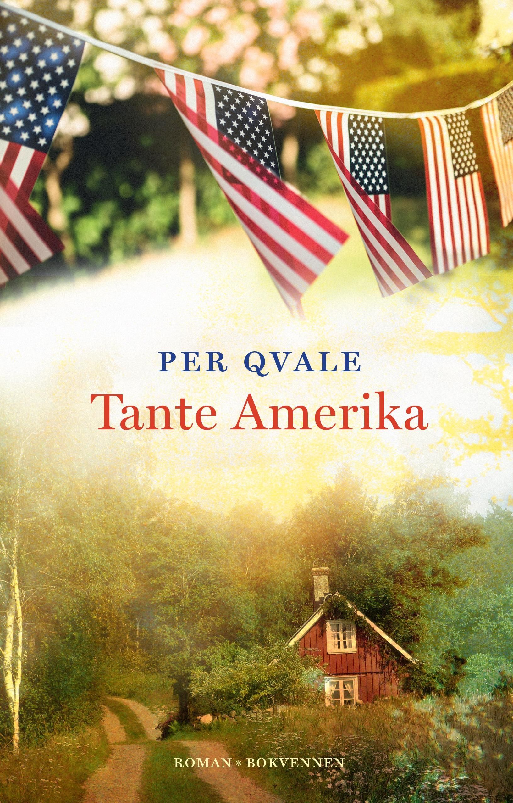 Tante Amerika : om det ubotelige : en fortelling