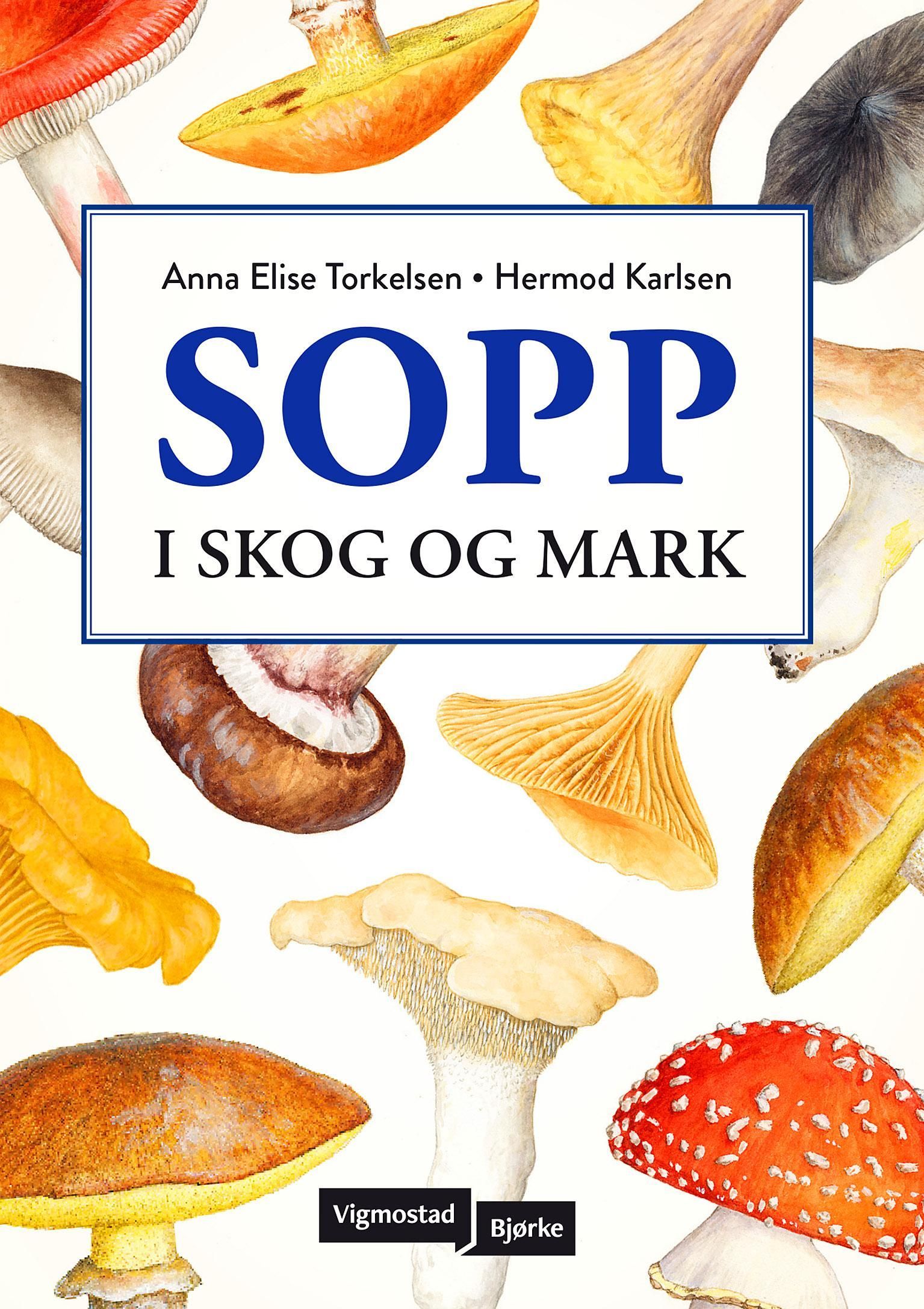 Sopp : i skog og mark