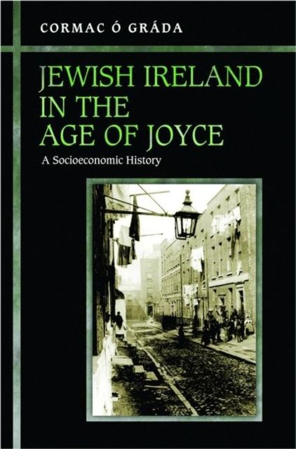 Jewish Ireland in the Age of Joyce : A Socioeconomic History