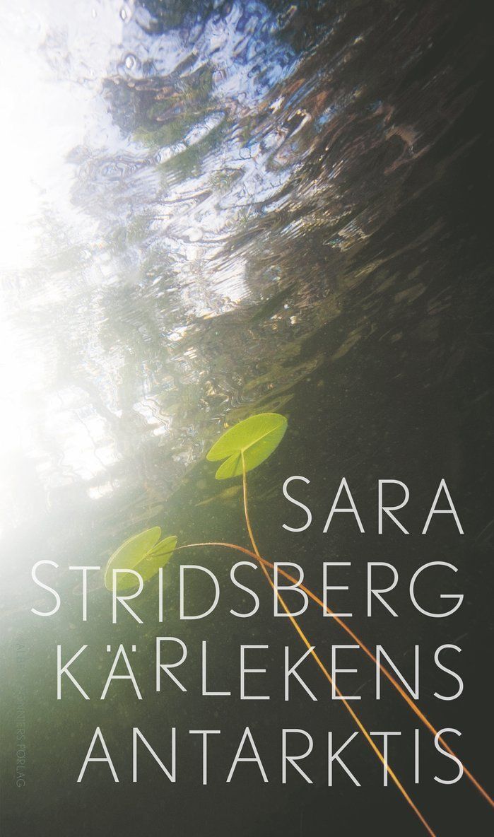 Kärlekens Antarktis : roman