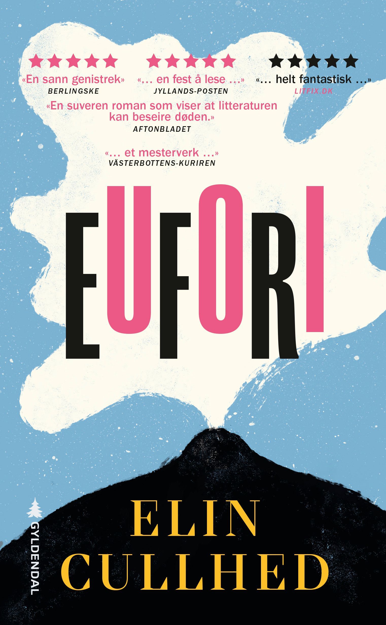 Eufori : en roman om Sylvia Plath
