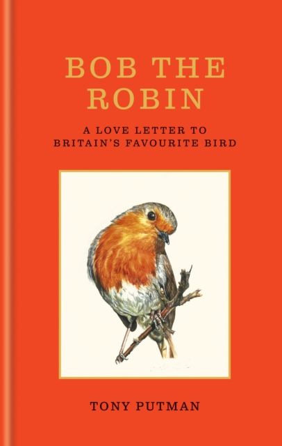 Bob the Robin : A love letter to Britain’s favourite bird