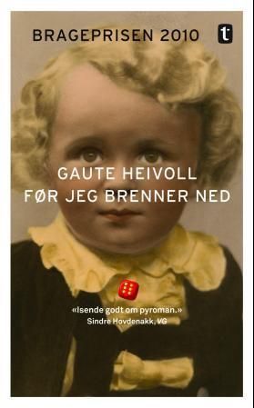 Før jeg brenner ned : roman