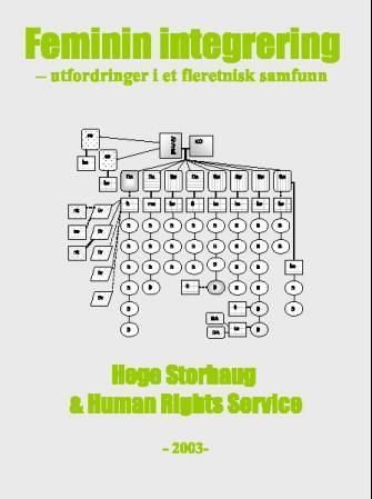 Feminin integrering : utfordringer i et fleretnisk samfunn