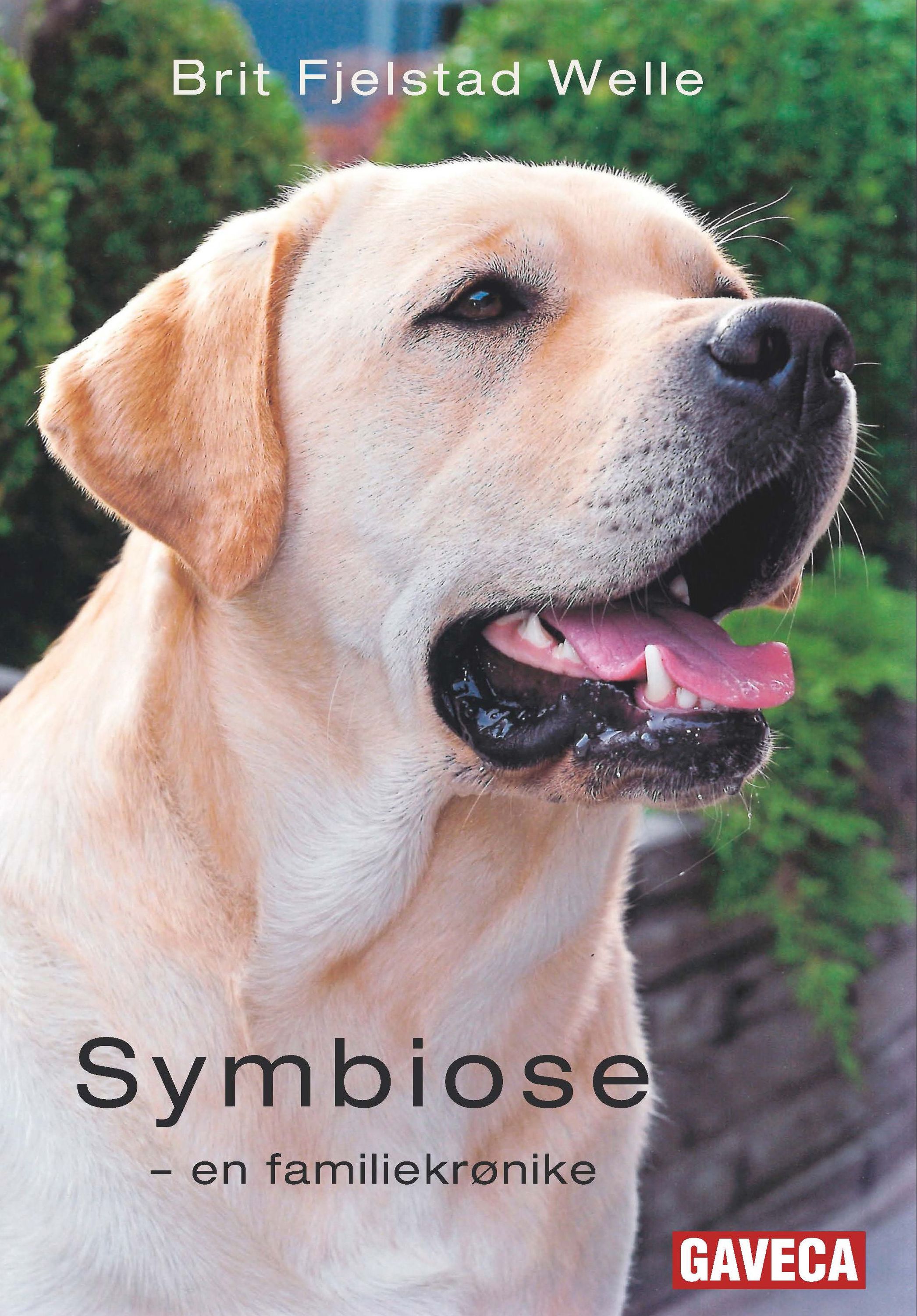 Symbiose : en familiekrønike