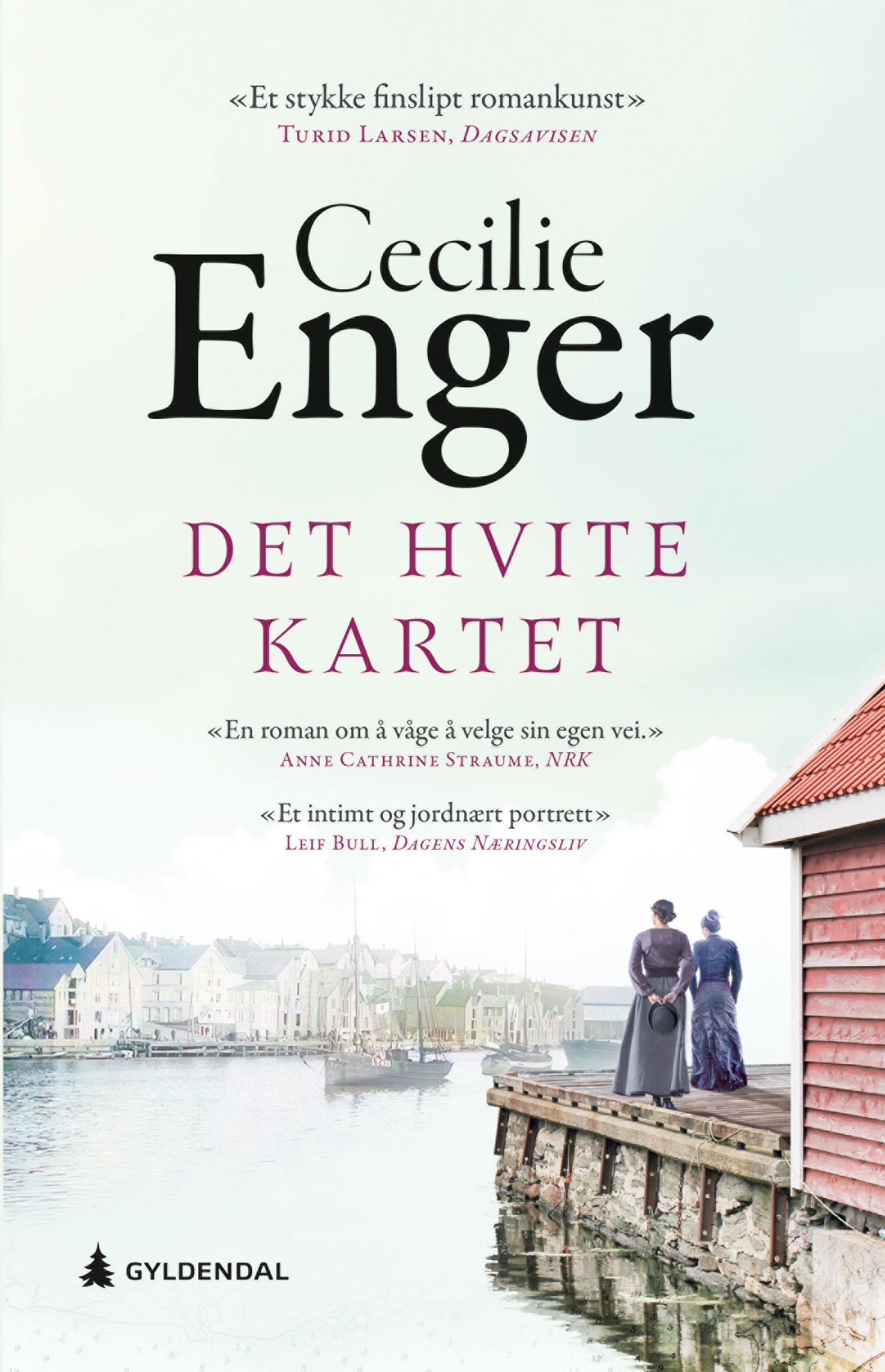 Det hvite kartet : roman