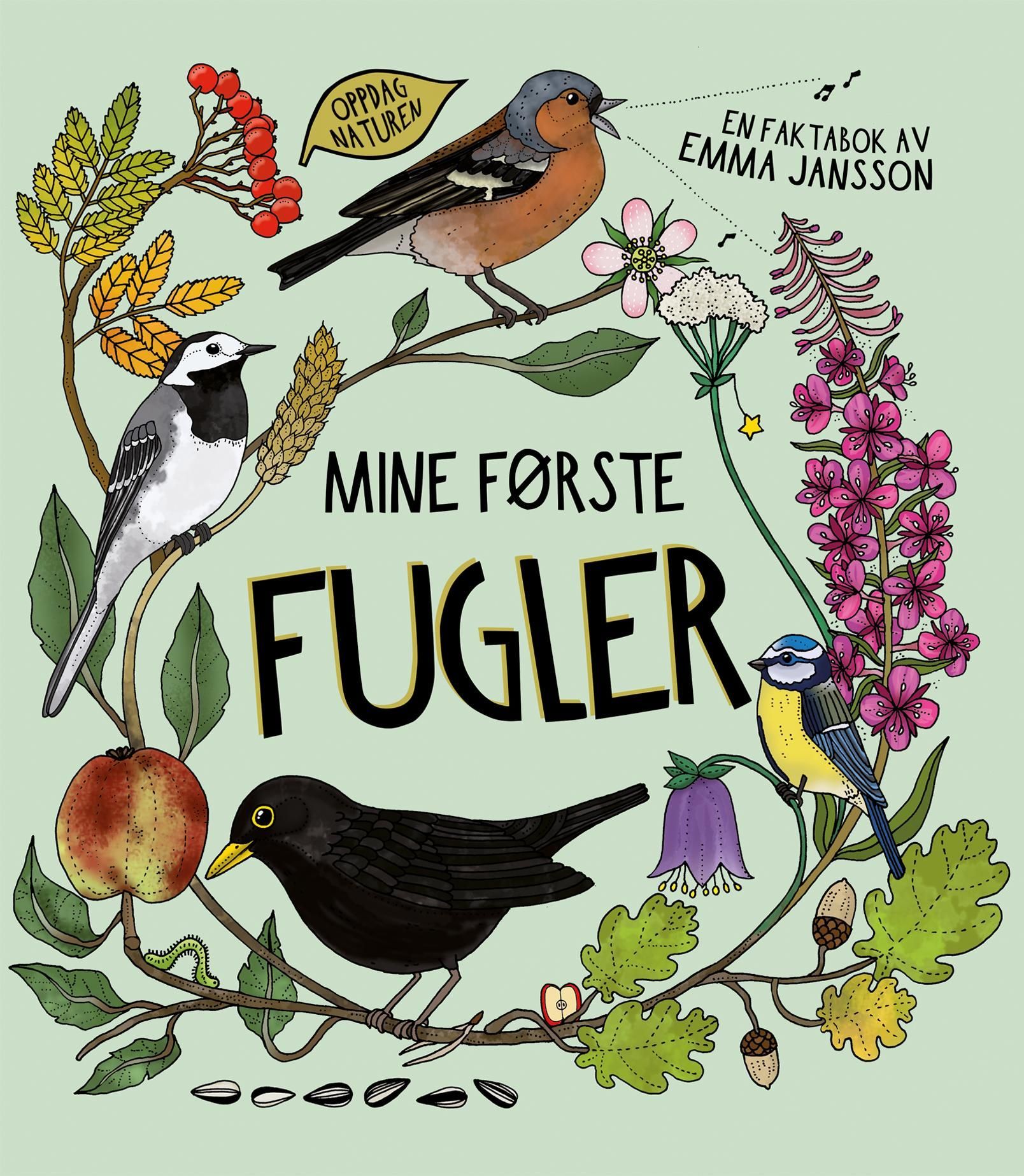 Mine første fugler : en faktabok