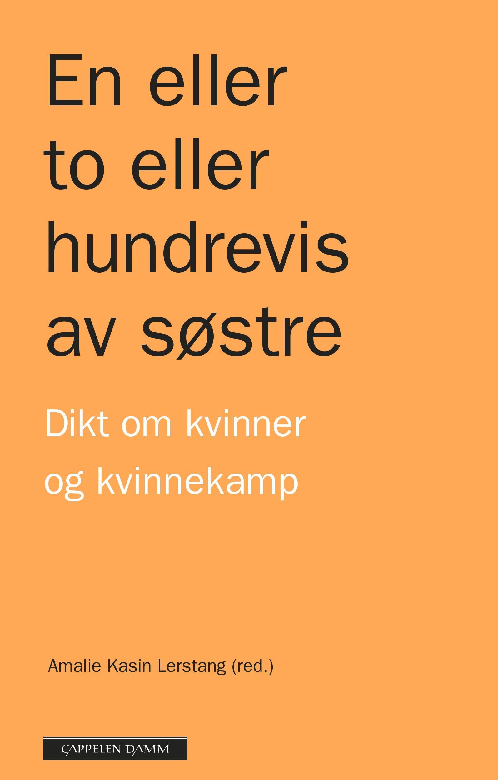En eller to eller hundrevis av søstre : dikt om kvinner og kvinnekamp