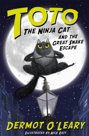 Toto the ninja cat