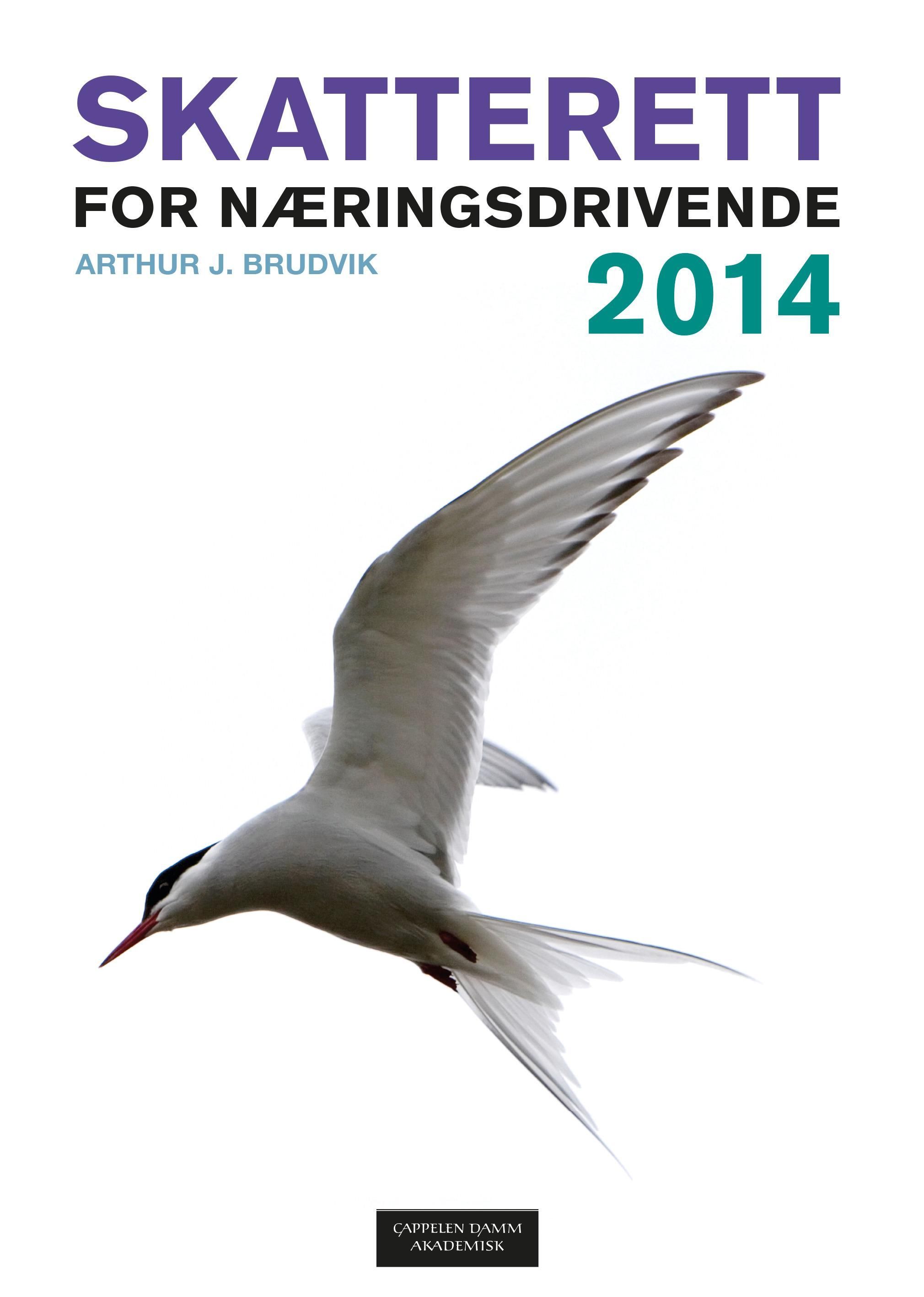 Skatterett for næringsdrivende 2014
