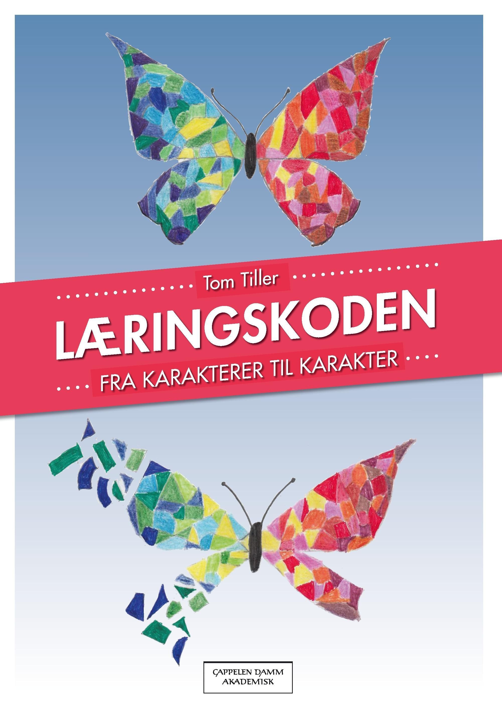 Læringskoden : fra karakterer til karakter