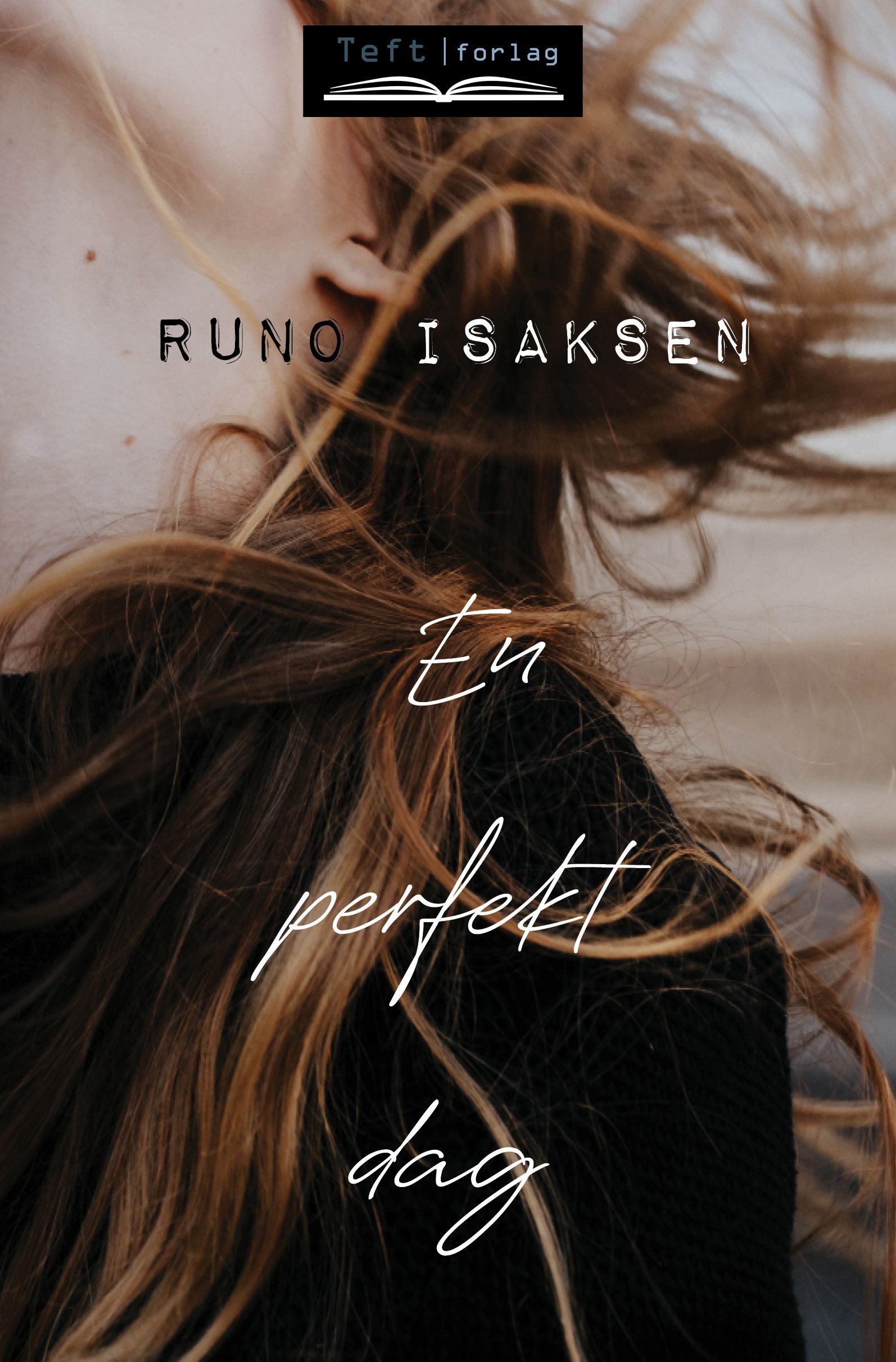 En perfekt dag : roman