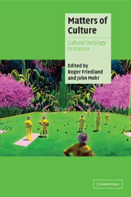 Matters of Culture : Cultural Sociology in Practice