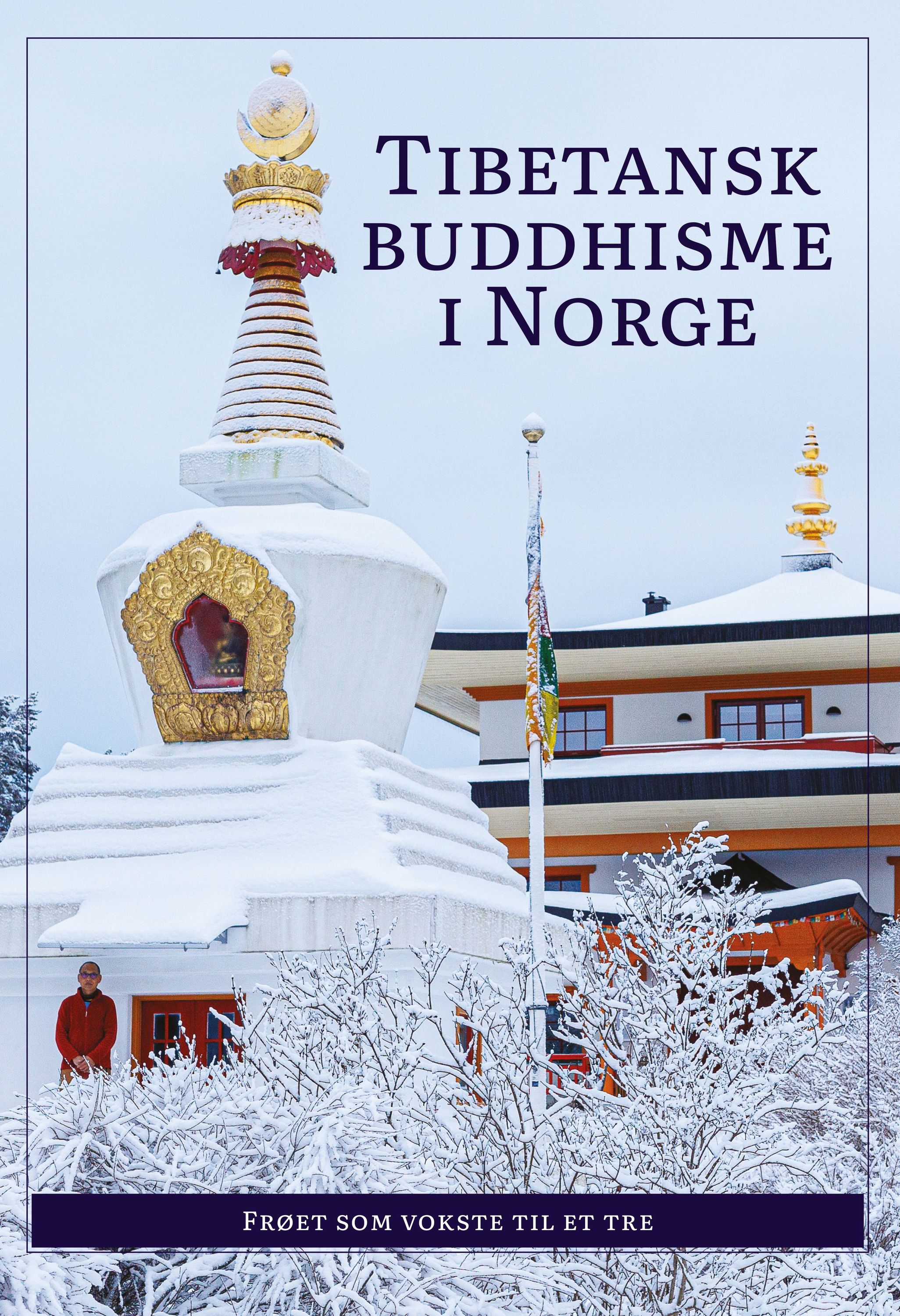 Tibetansk buddhisme i Norge : frøet som vokste til et tre