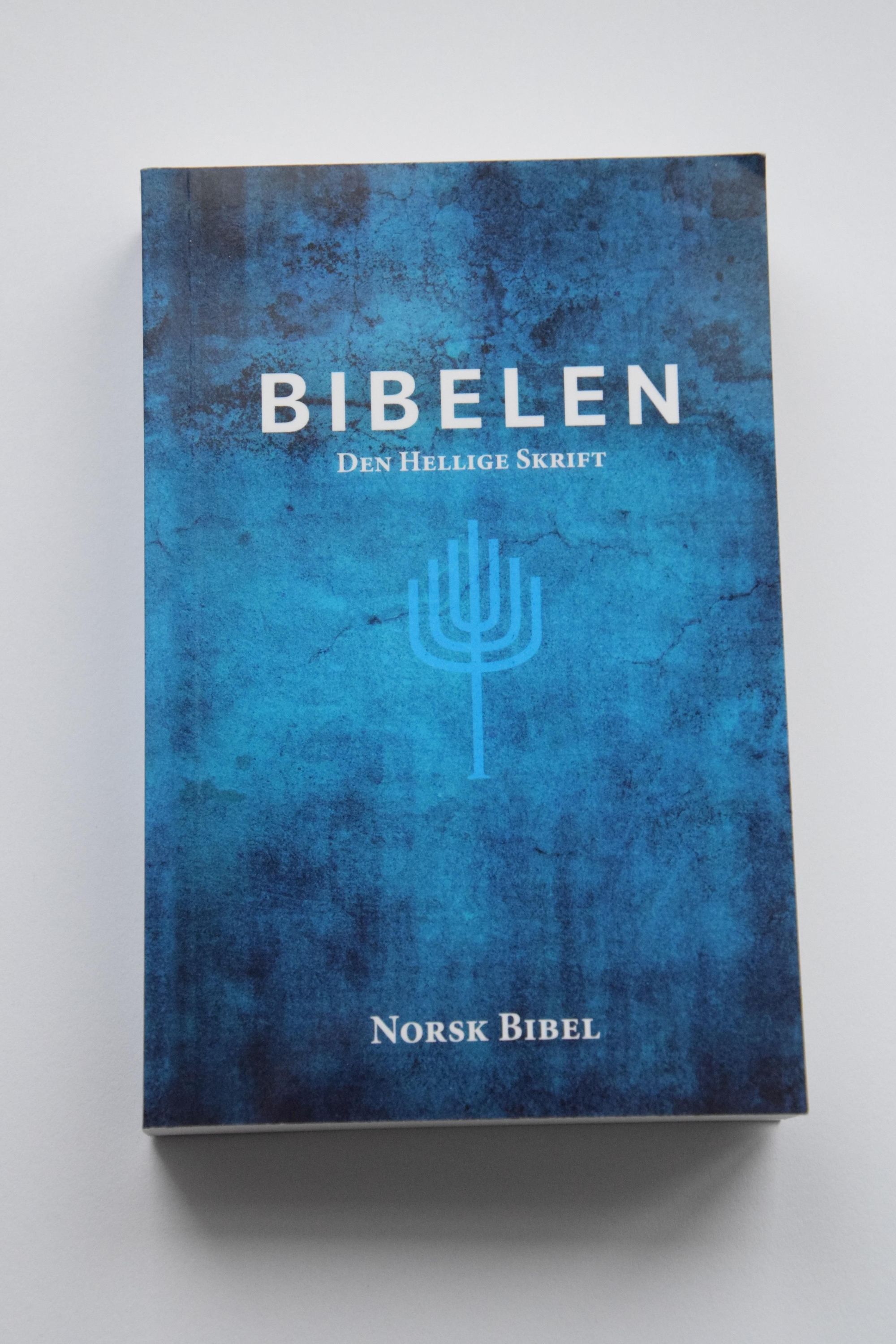 Bibelen : Den hellige skrift : Det gamle og Det nye testamentes kanoniske bøker