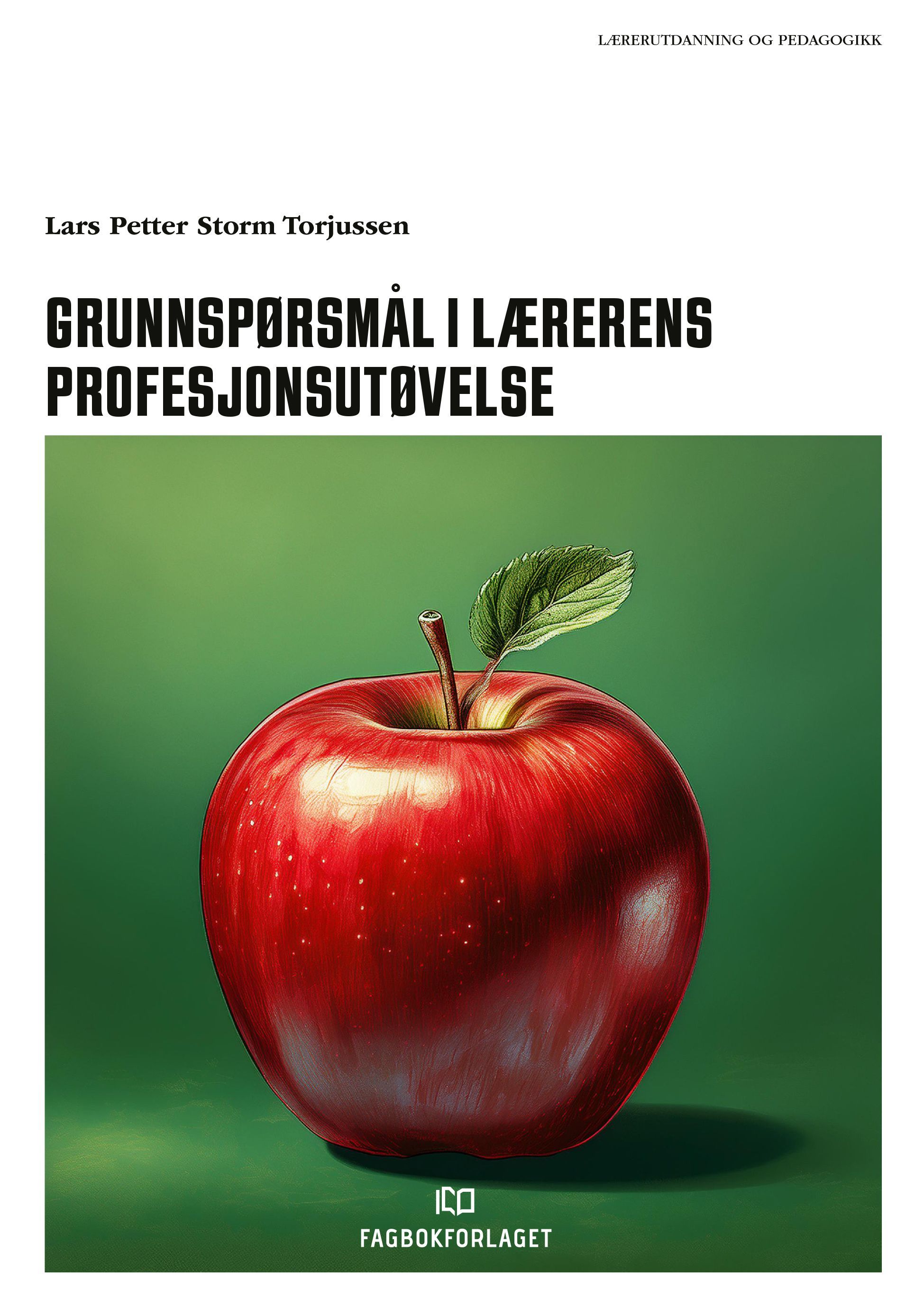 Forsidebilde av Grunnspørsmål i lærerens profesjonsutøvelse