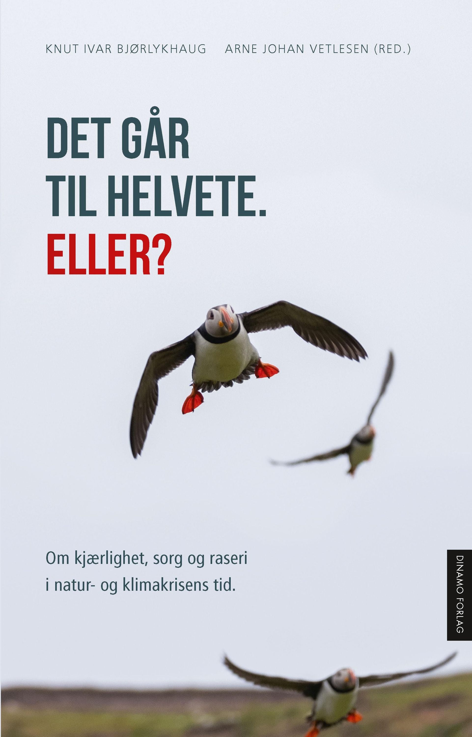 Det går til helvete, Eller? : om kjærlighet, sorg og raseri i natur- og klimakrisens tid