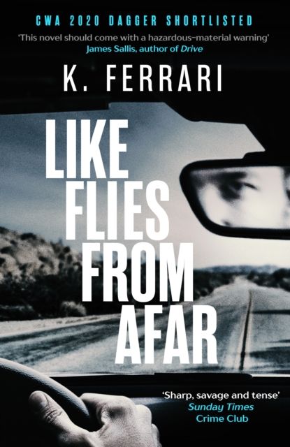 Forsidebilde av Like Flies from Afar