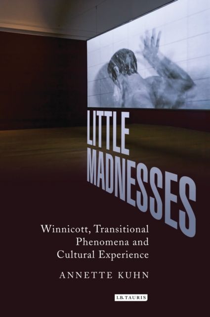 Little Madnesses : Winnicott, Transitional Phenomena and Cultural Experience
