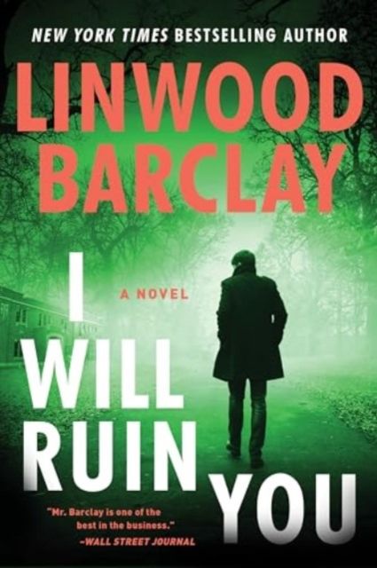 I Will Ruin You : A Novel