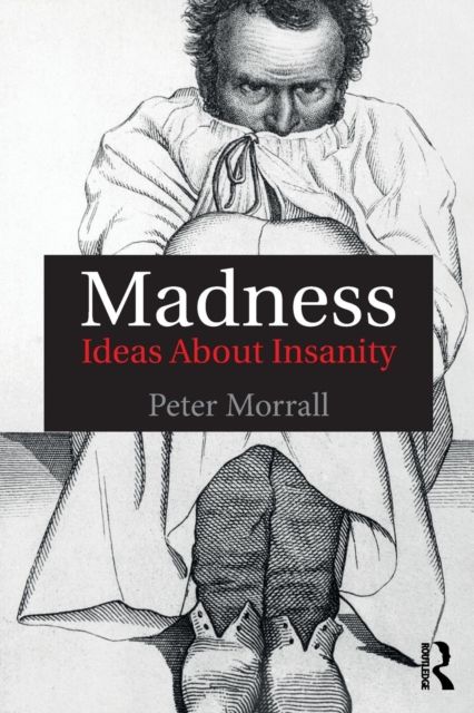 Madness : Ideas About Insanity