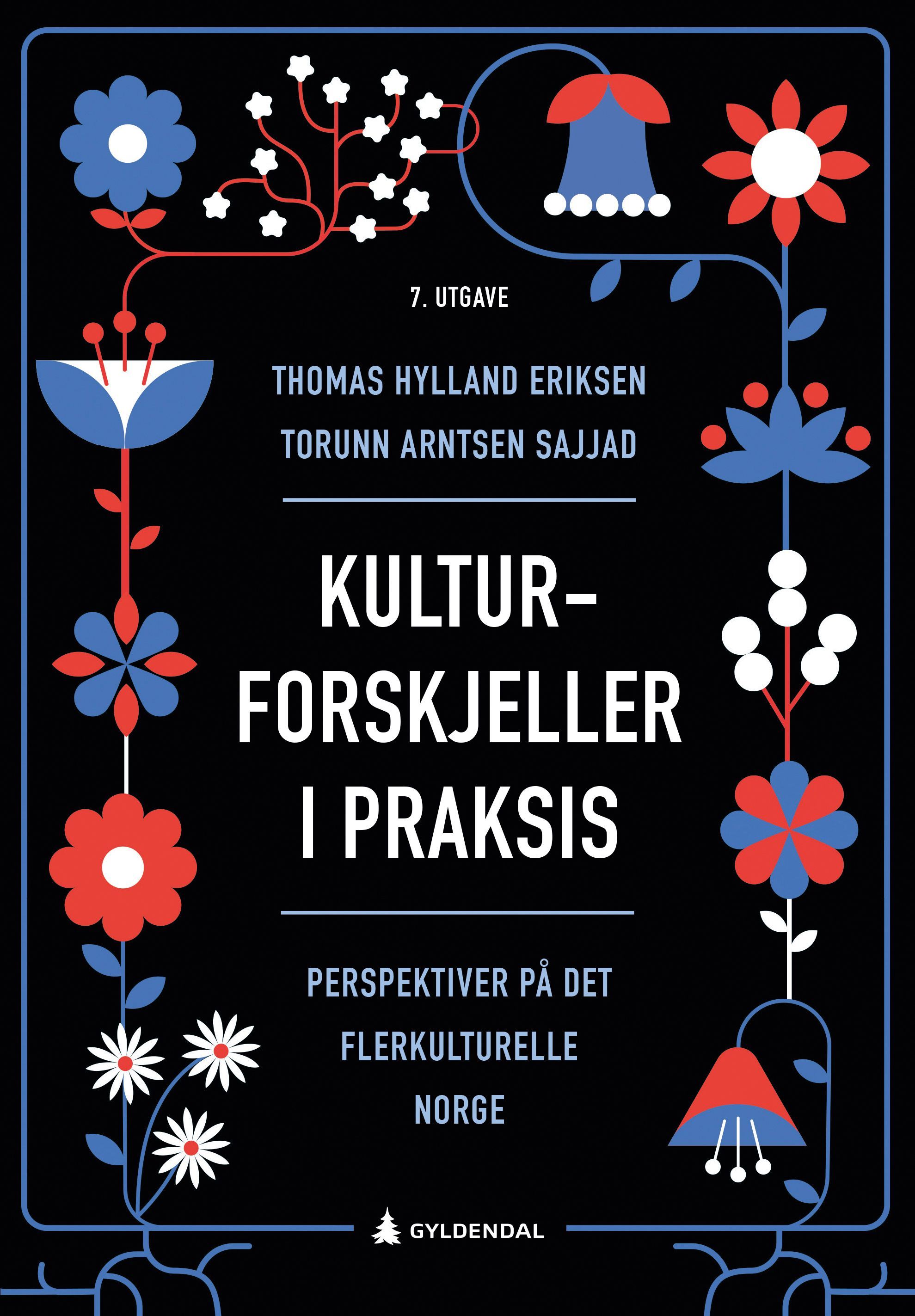 Kulturforskjeller i praksis : perspektiver på det flerkulturelle Norge
