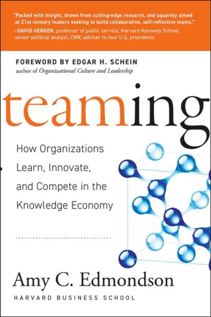 Teaming : How Organizations Learn, Innovate, and Compete in the Knowledge Economy
