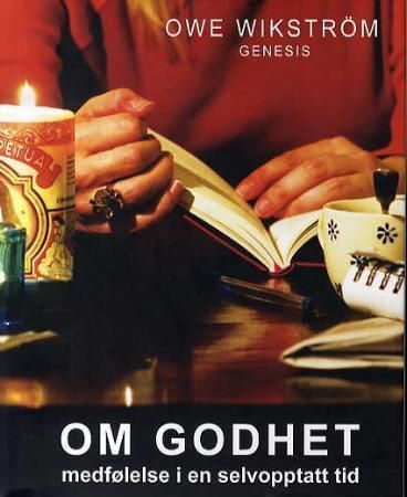 Om godhet : medfølelse i en selvopptatt titd
