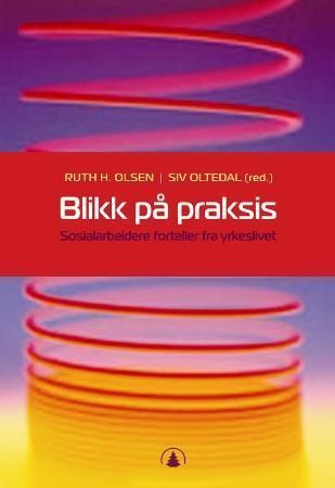 Blikk på praksis : sosialarbeidere forteller fra yrkeslivet