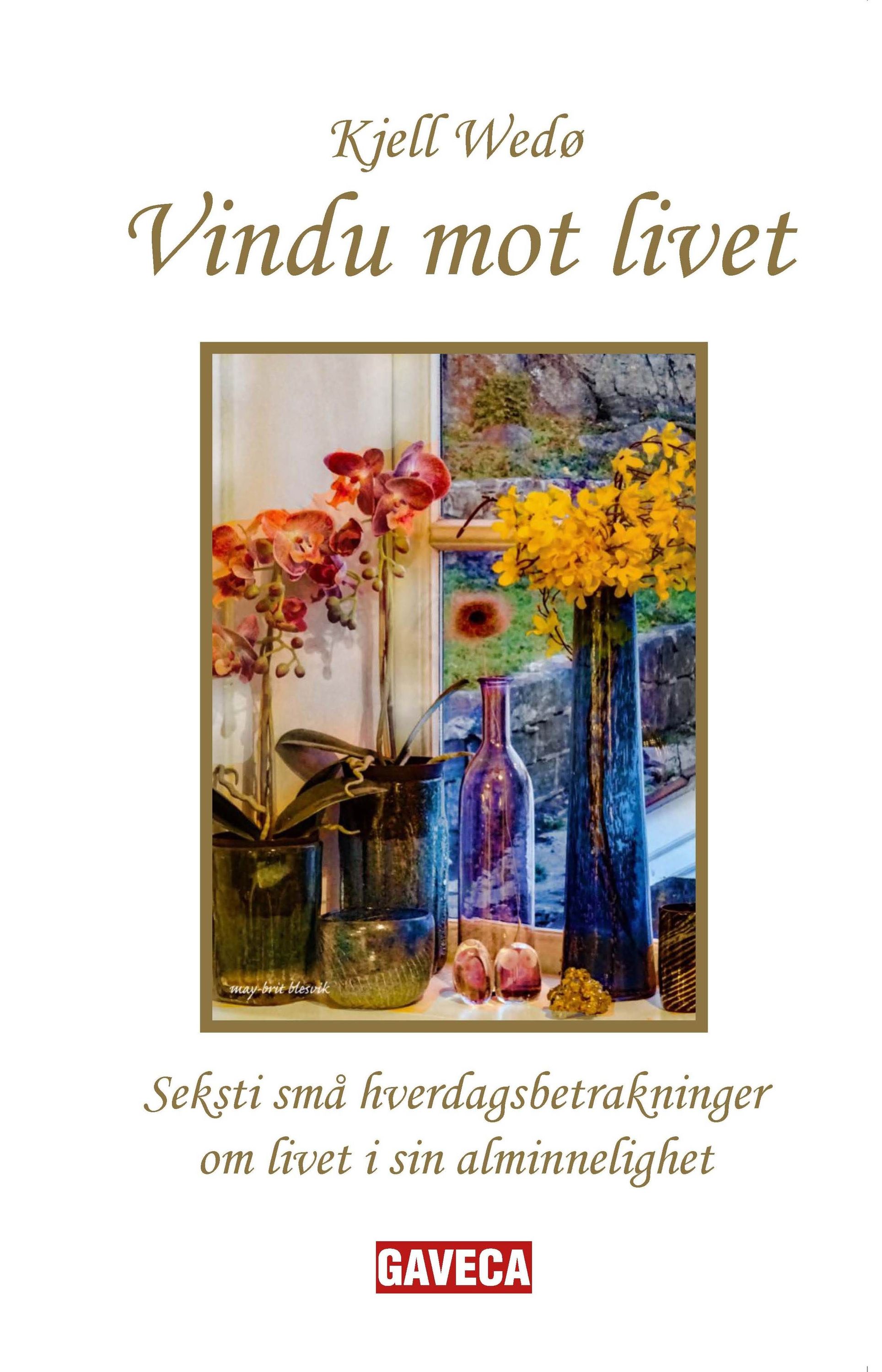 Vindu mot livet : seksti små hverdagsbetraktninger om livet i sin alminnelighet