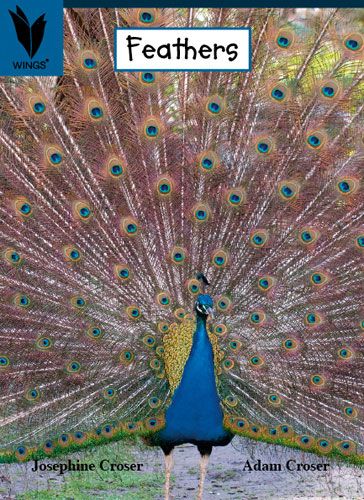 Feathers