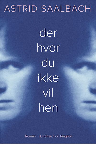 Der hvor du ikke vil hen : roman