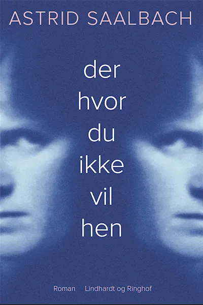 Forsidebilde av Der hvor du ikke vil hen : roman