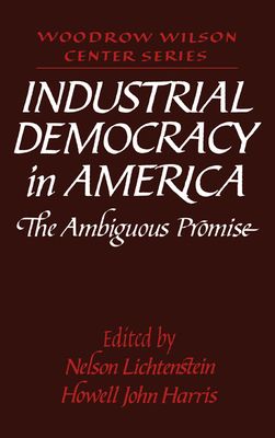 Industrial Democracy in America : The Ambiguous Promise