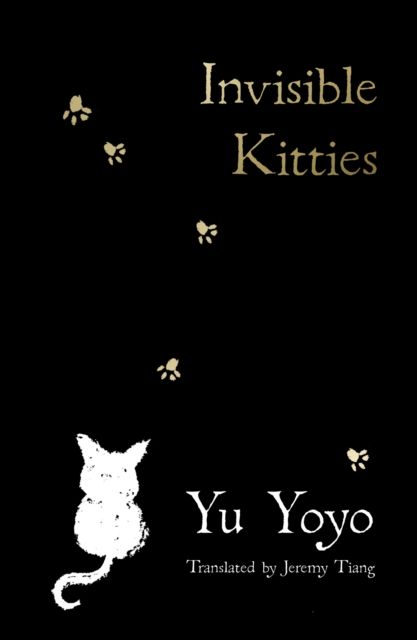 Forsidebilde av Invisible Kitties