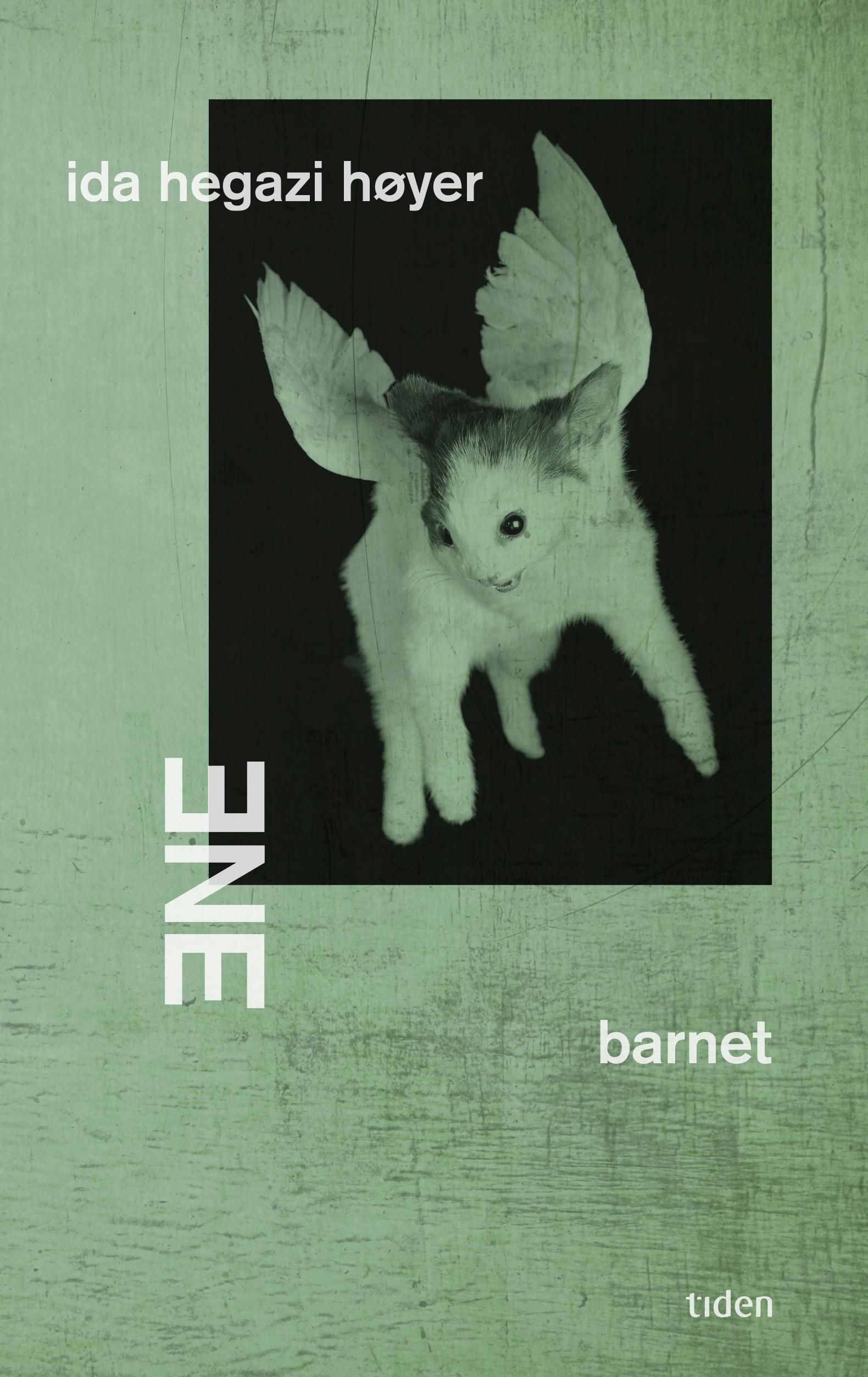 Ene | barnet : roman
