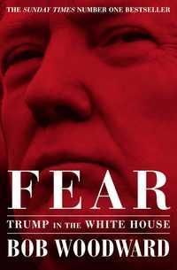 Forsidebilde av Fear : Trump in the White House