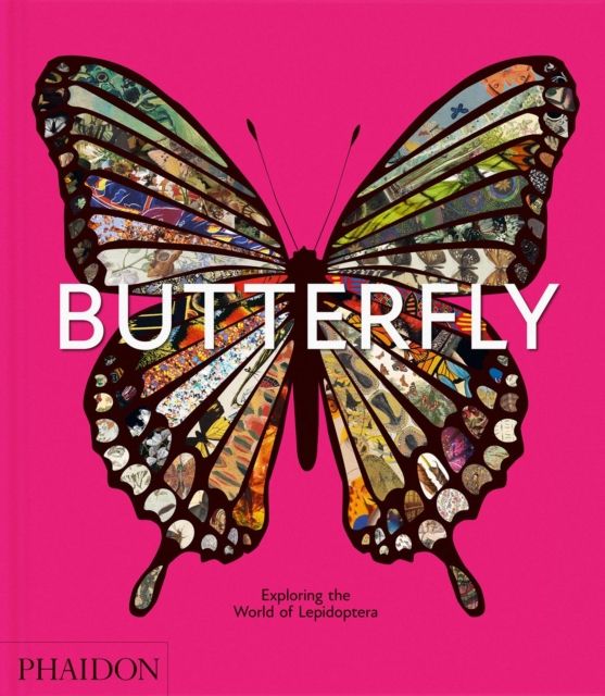 Butterfly : Exploring the World of Lepidoptera