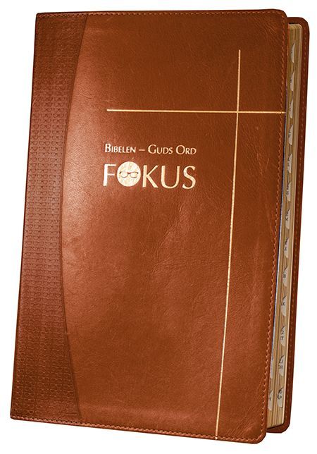 Bibelen - Guds ord fokus : studiebibel